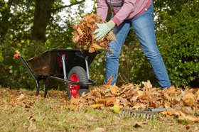 Wickes Garden Rake Carbon Steel - 1480mm