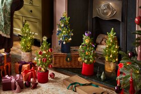 Tiny Trees from £27