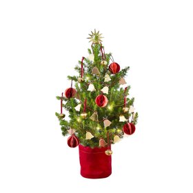 Bloom & Wild   The Jingle Bell Tree £37