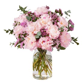 Bloom & Wild   Freisteller Emma Maxi