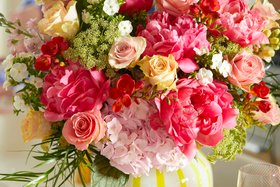 Bloom & WIld   Lennie CU €79,95