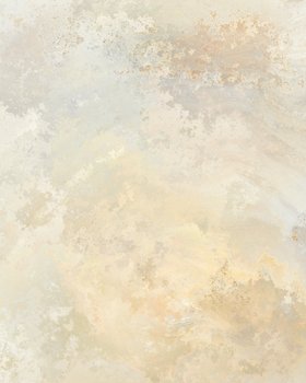 Faux Finish - Italian Plaster III