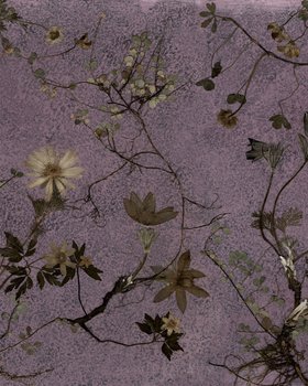 Flora Hypnotica Panorama - Wallpaper