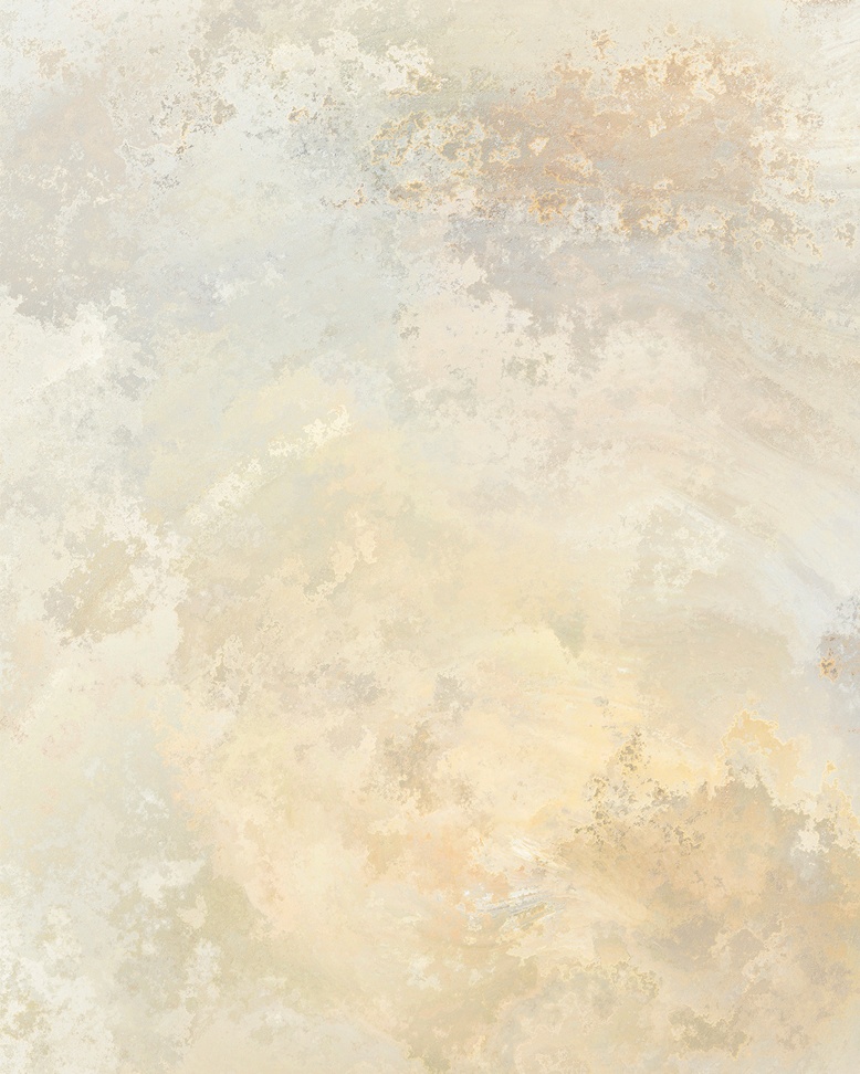 Faux Finish - Italian Plaster III