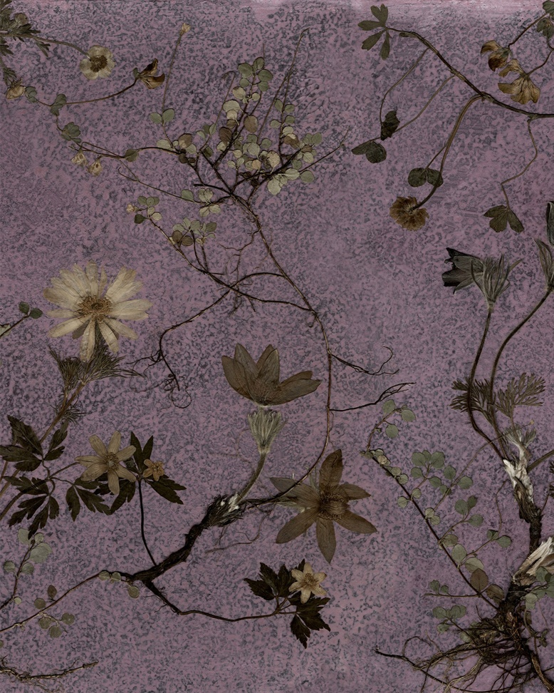 Flora Hypnotica Panorama - Wallpaper