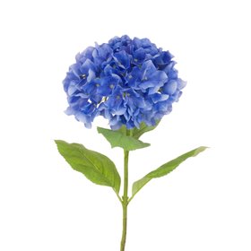 French Hydrangea Blue