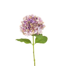 French Hydrangea Dusky Lilac