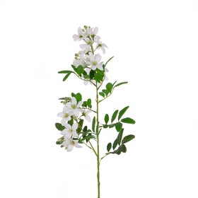 Faux Jasmine Stephanense White