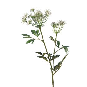 ECO Faux Bishops Flower White