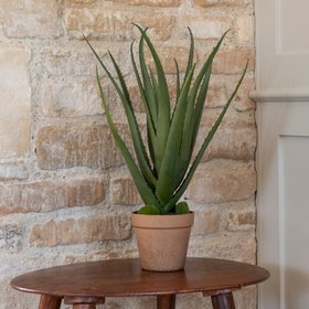Faux Aloe Vera Plant in Pot