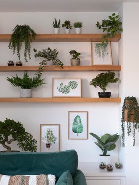 Office Wall - Artificial Buddhist Pine Bonsai Tree 43cm