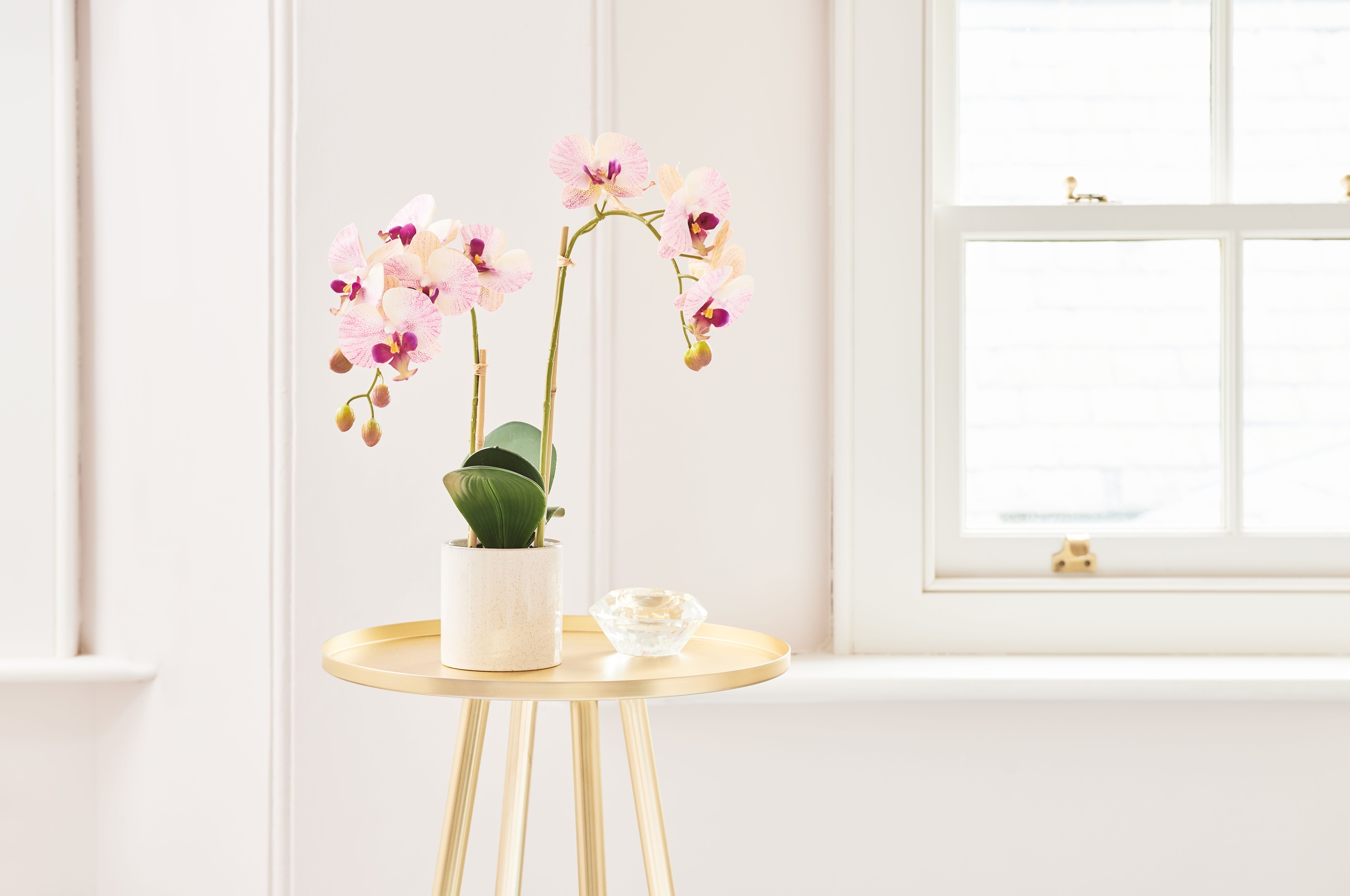 Faux Phalaenopsis Orchid Pink