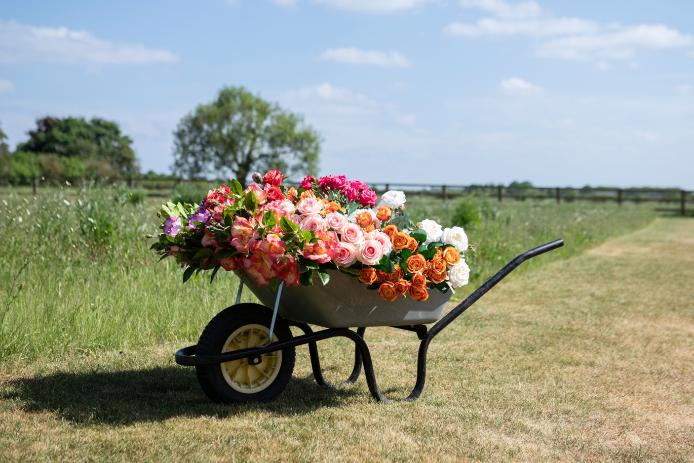 Faux Summer Roses