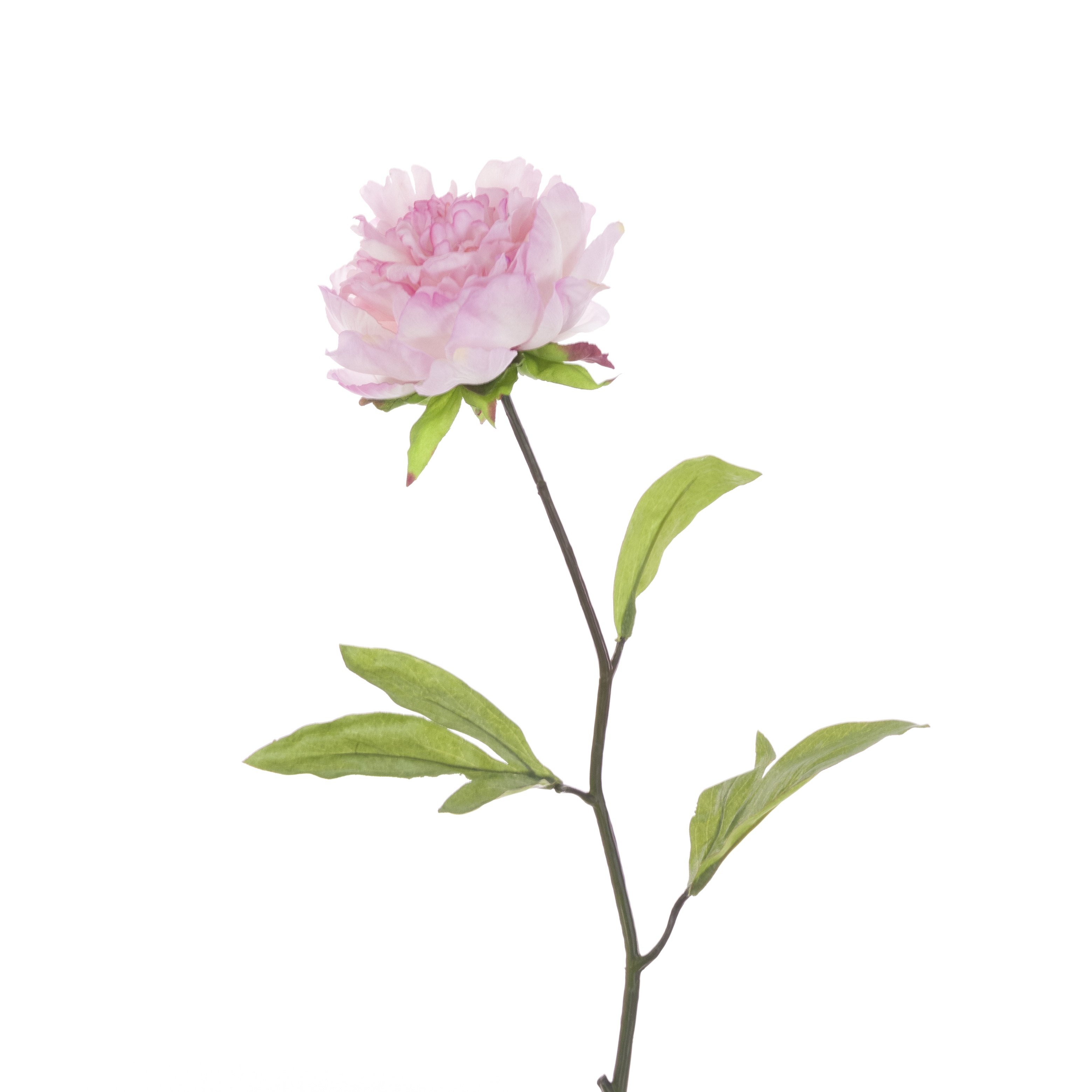 Faux Peony Pink