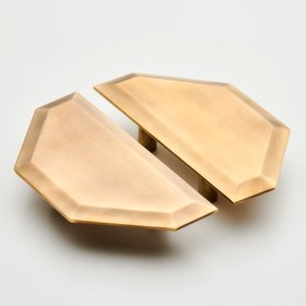 Astor Door Pull Handle