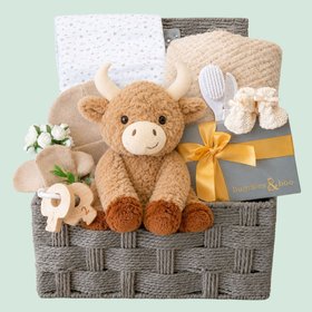Baby Shower Gift Basket - Highland Delights