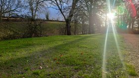 Grassrings