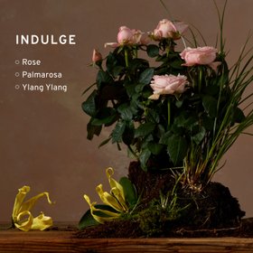 Mini Indulge Bath & Shower Gel