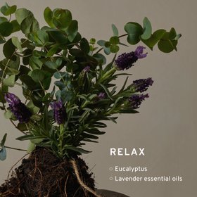 Relax Bath & Shower Gel (Copy)