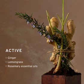 Active Bath & Shower Gel - Lemongrass & Ginger