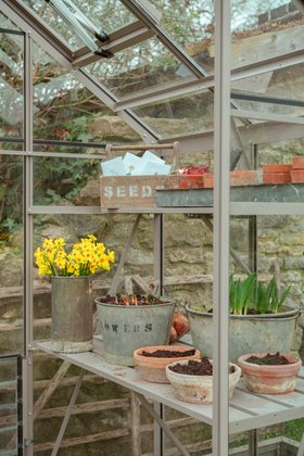 Rhino Greenhouse - Tuscan Olive