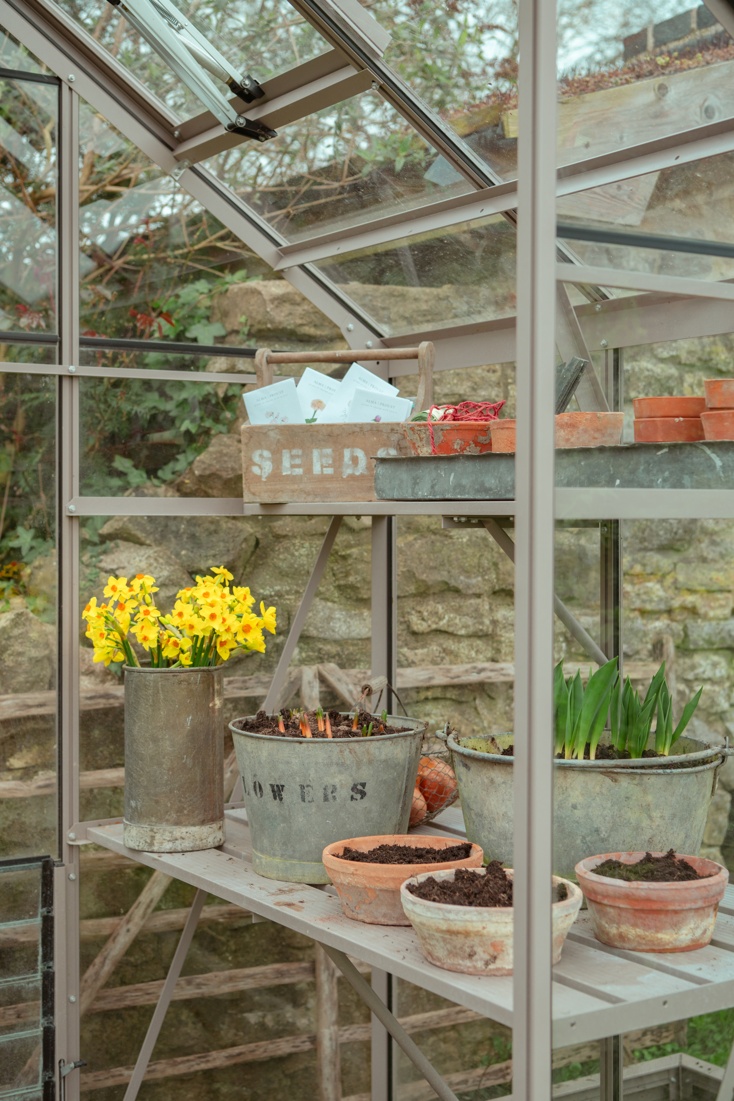 Rhino Greenhouse - Tuscan Olive