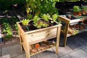 Vegetable Garden Table