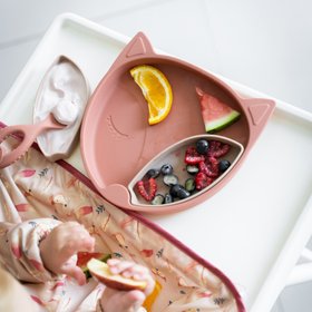 Silicone Suction Plate & Weaning Spoon Bundle