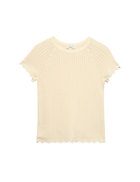 Pointelle Slim Fit Knitted Top