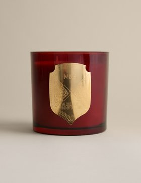 Premium Christmas Joy Large Scented Candle