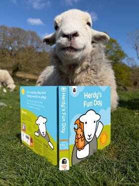 Herdy's Fun Day Book