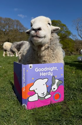 Goodnight Herdy Book