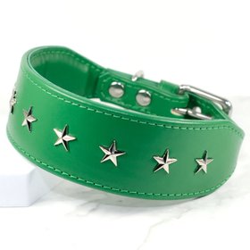 Star Studded Whippet Collar Petiquette Collars
