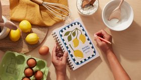 Recipe Journal - Lemons