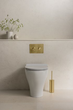 flush plate (dots)