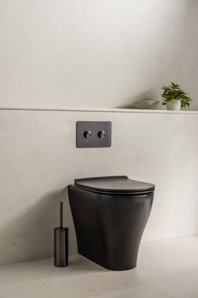 flush plate (dots)
