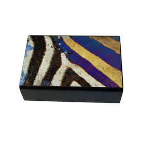Large Decorative Matchbox - Sebra Stripe Grassland