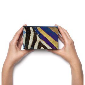 Large Decorative Matchbox - Sebra Stripe Grassland