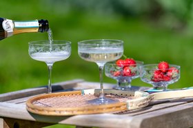 Strawberry Crystal Glass Coupes / Emma Britton Decorative Glass Designer