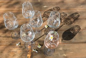 Silver Birch Wine Glasses Set of 6 / Emma Britton Decorative Glass Designer
