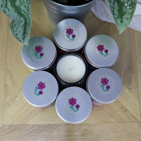Natural wax Candle Under The Tree - eucalyptus • pine • cedarwood