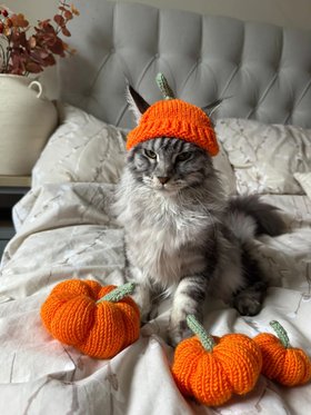 Handknitted Halloween Pumpkin Hat for cats