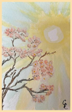 Cherry Blossom
