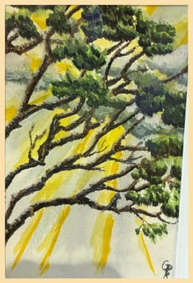 Forest Sunrise