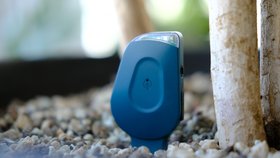 SmartyPlants Plant Sensor (Green - sold in three pack for £99.99)