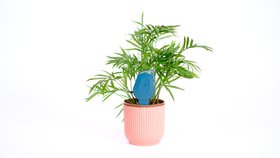 SmartyPlants Plant Sensor (Green - sold in three pack for £99.99)