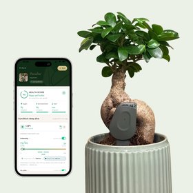 SmartyPlants Plant Sensor (Grey - sold in three pack for £99.99)