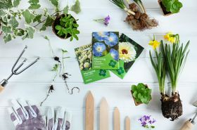 Dobbies Spring gardening - Cottage Garden