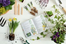 Dobbies Spring gardening - March