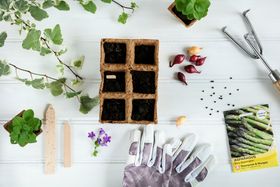 Dobbies Spring gardening - Vegetable Garden